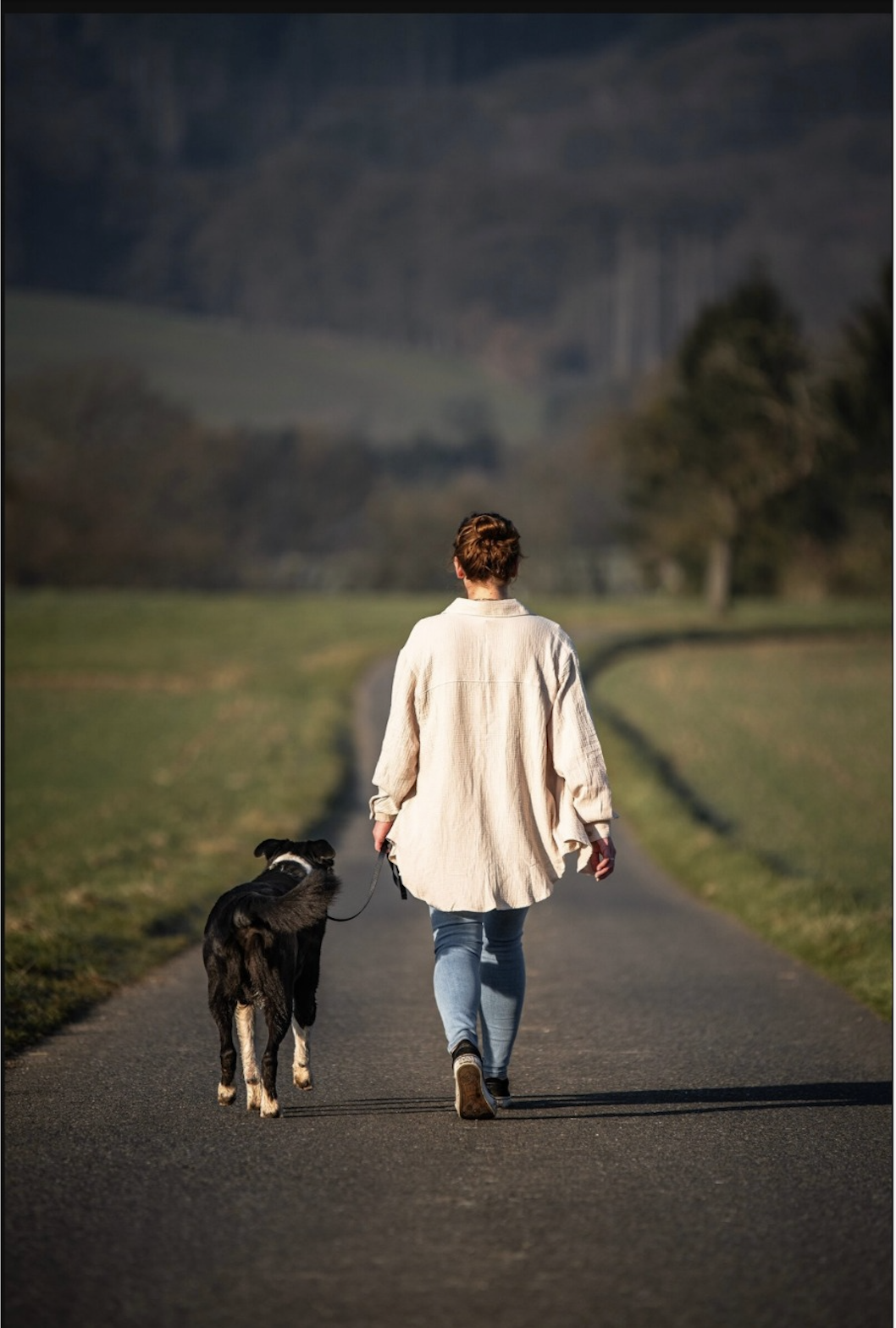 Mensch und Hund in der Natur – entspannter Spaziergang